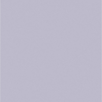 SFT_4031-5 Cирень