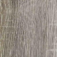 Дуб венецианский Дуб венецианский