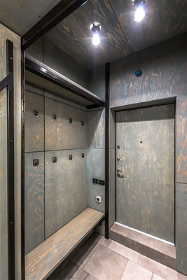 Современный дизайн прихожей / дверь на заказ