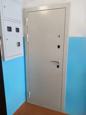 Дверь с окрашиванием