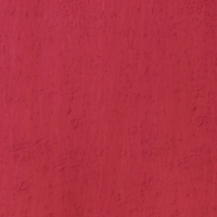 Клен птичий глаз 05.039 Клен птичий глаз 05.039