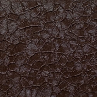 Крокодил коричневый Крокодил коричневый