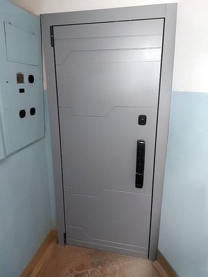 Квартирная дверь с зеркалом и умным замком Квартирная дверь с зеркалом и умным замком