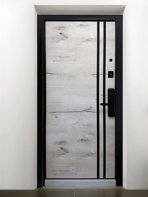 Квартирная дверь со smart-замком Квартирная дверь со smart-замком