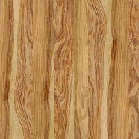 Олива Олива