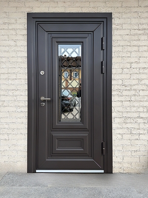 Остекленная металлическая дверь