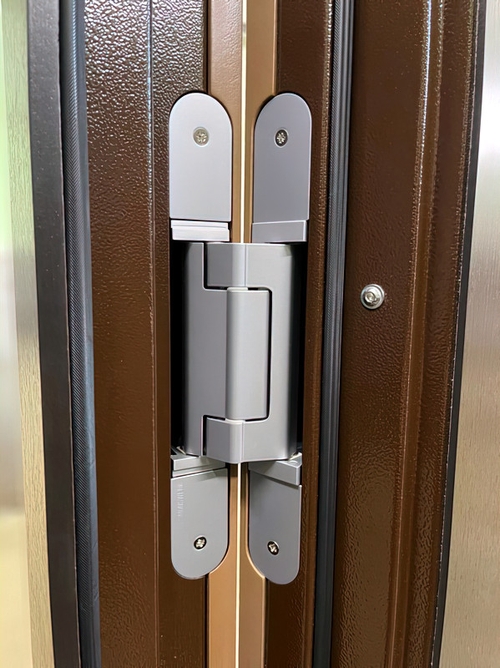 Петля скрытого типа