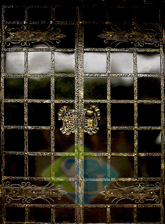 Дверь порошковое напыление с эксклюзивной ковкой Дверь порошковое напыление с эксклюзивной ковкой