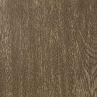 Sonoma oak Sonoma oak