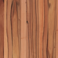 Тинео Тинео