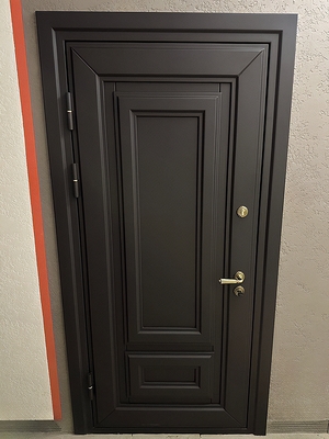 Входная дверь черного цвета Входная дверь черного цвета
